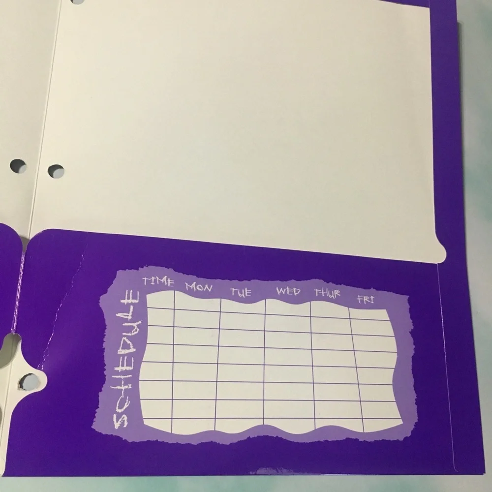 SAILOR MOON Stickers On Purple Folder